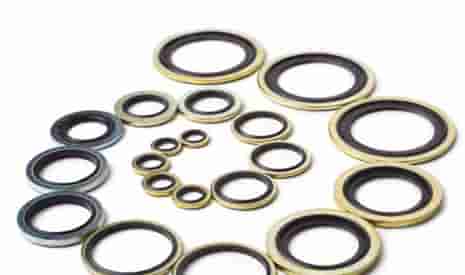 Dowty Seals / Bonded Washers