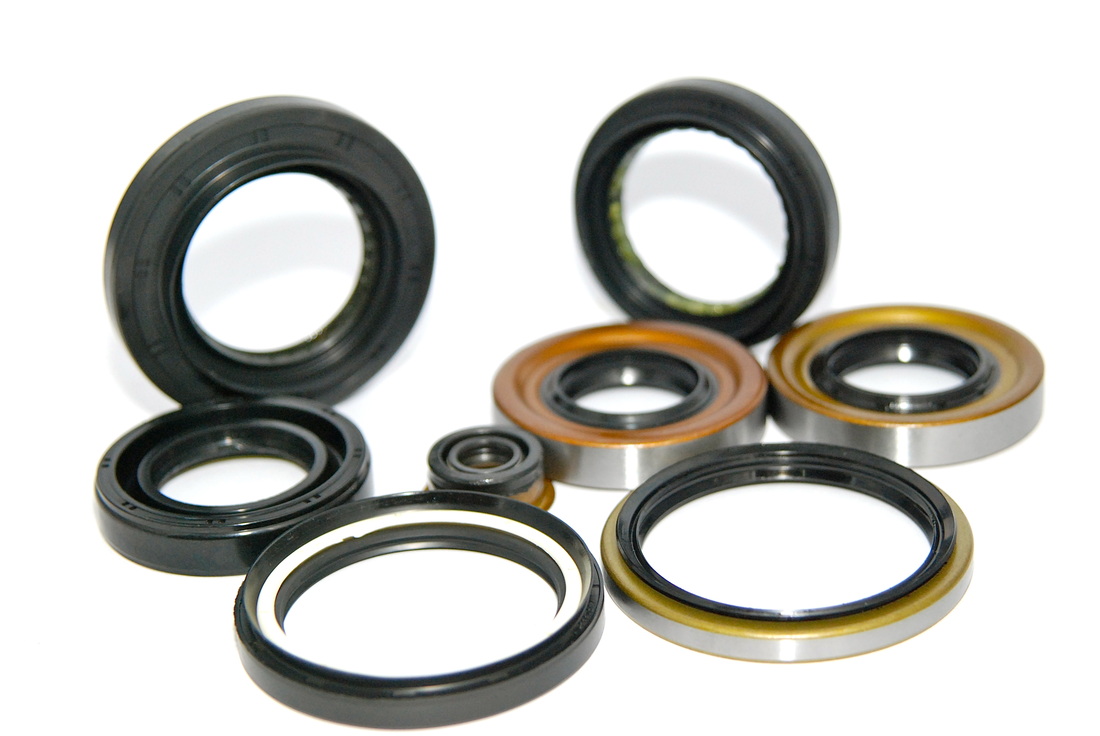 Rotary Shaft Seals / Oil Seals / Cassette Seals / Axial Seals