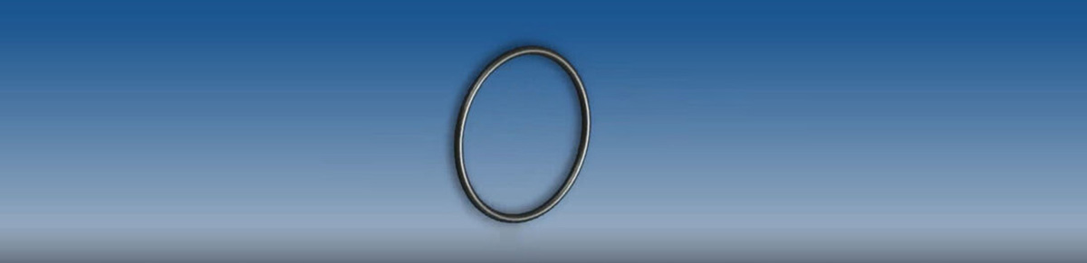 O-RING NBR