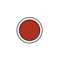 O-RING FEP/VITON