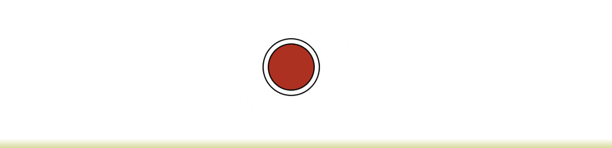 O-RING FEP/VITON