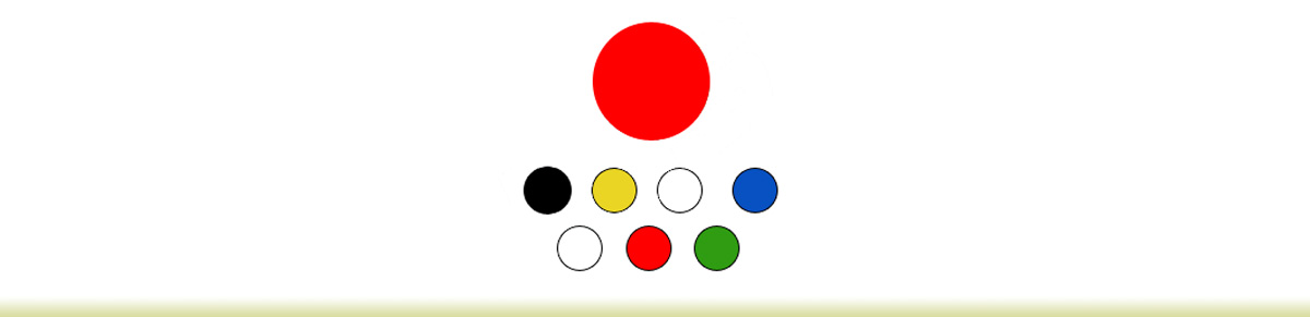 O-RING PU