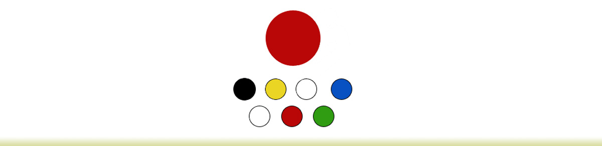 O-RING SILICONE